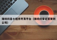 潍坊抖音小程序开发平台（潍坊抖音运营策划公司）