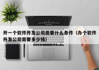 开一个软件开发公司需要什么条件（办个软件开发公司需要多少钱）