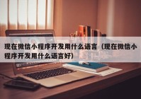 现在微信小程序开发用什么语言（现在微信小程序开发用什么语言好）