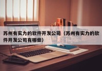 苏州有实力的软件开发公司（苏州有实力的软件开发公司有哪些）