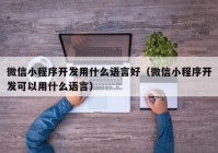 微信小程序开发用什么语言好（微信小程序开发可以用什么语言）