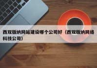 西双版纳网站建设哪个公司好（西双版纳网络科技公司）