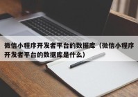 微信小程序开发者平台的数据库（微信小程序开发者平台的数据库是什么）