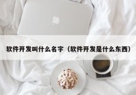 软件开发叫什么名字（软件开发是什么东西）