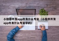 小程序开发app开发什么专业（小程序开发app开发什么专业学的）