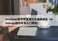 windows软件开发用什么编程语言（windows软件开发入门教程）