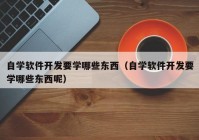 自学软件开发要学哪些东西（自学软件开发要学哪些东西呢）