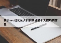 关于seo优化从入门到精通的十大技巧的信息