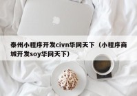 泰州小程序开发civn华网天下（小程序商城开发soy华网天下）