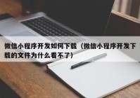 微信小程序开发如何下载（微信小程序开发下载的文件为什么看不了）